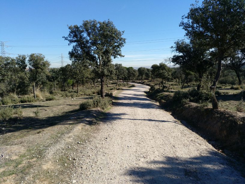 uno de los caminos de la dehesa de valdelatas en madrid