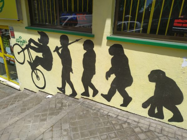 Típico dibujo de la evolución de simio a humana y acaba en ciclista